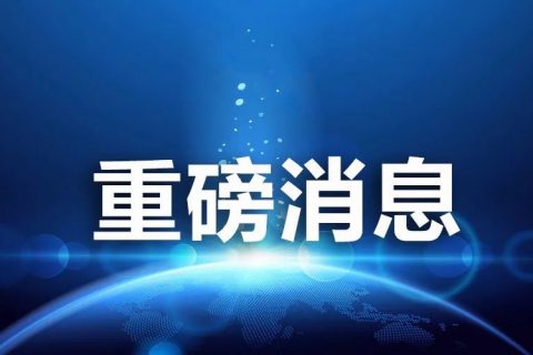 索英電氣聯(lián)合承辦ESIE2020儲(chǔ)能國際峰會(huì)，助推規(guī)模化儲(chǔ)能發(fā)展